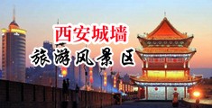 大鸡巴插死我网站中国陕西-西安城墙旅游风景区